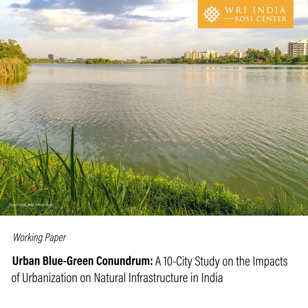 WRIAqueduct's tweet photo. New research from @WRIIndia traces how an increasing urban footprint has impacted blue and green spaces in India's 10 most populated cities https://t.co/C1ZGuKam1J @anahas8 @SamratBasak01 @1701Aakash @rajbhagatt #BlueGreenInfrastructure #WaterResilience https://t.co/NIZRTZugm6