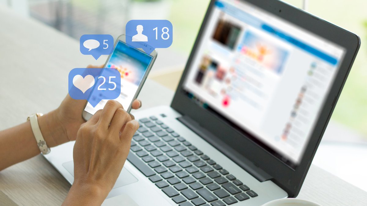 Hypha_US tweet media