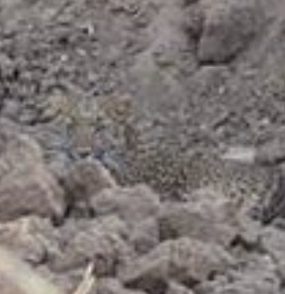 Lance Ulanoff tweet media