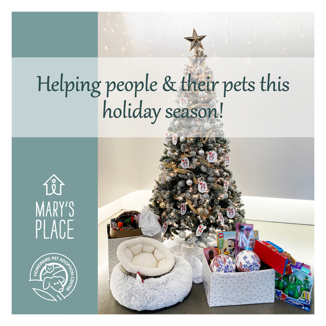 Thank you to everyone who donated to our giving tree! This year, we supported Mary’s Place and Homeward Pet. 🌲🏠 🐶🐱

Mary’s Place has met their need for gifts and toys this year, but if you would like to help, they still need financial donations and gift cards. Thi