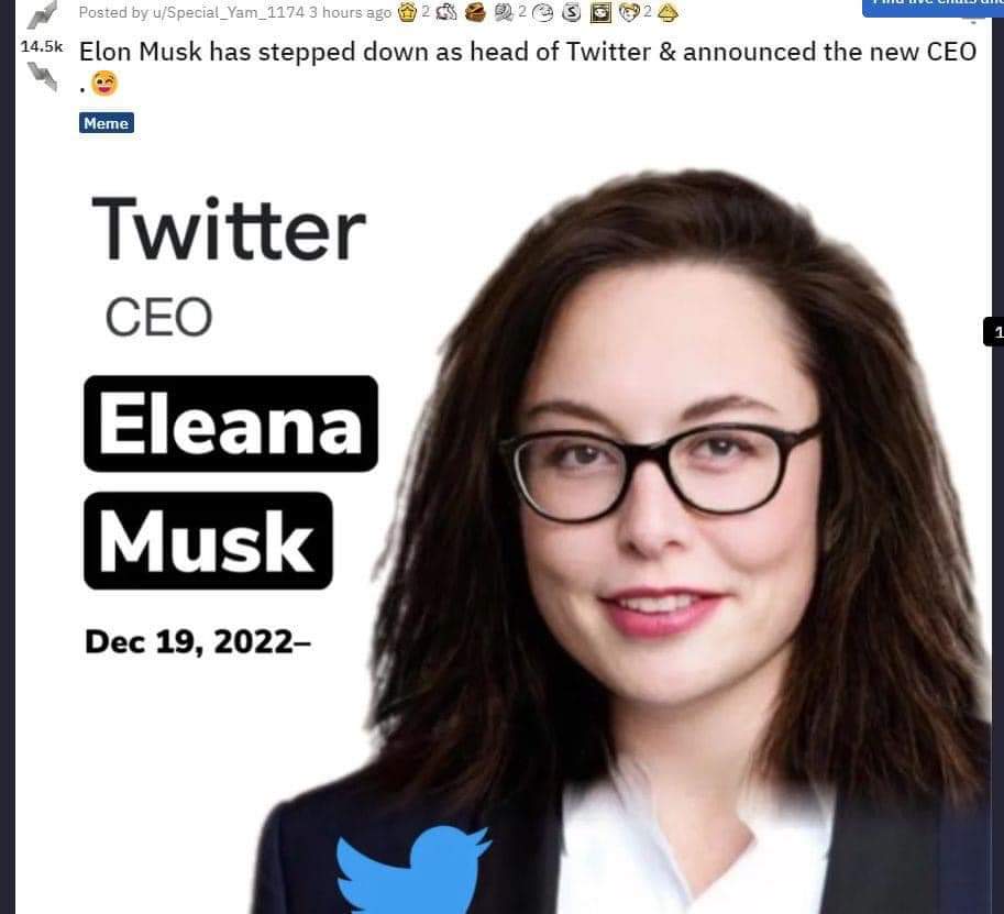 CultureStorm's tweet photo. @MLovesDemocracy @elonmusk @Harris_X_ @Twitter What he said or what he really meant? Tricky. #MuskPoll https://t.co/JOPFptoQ9W