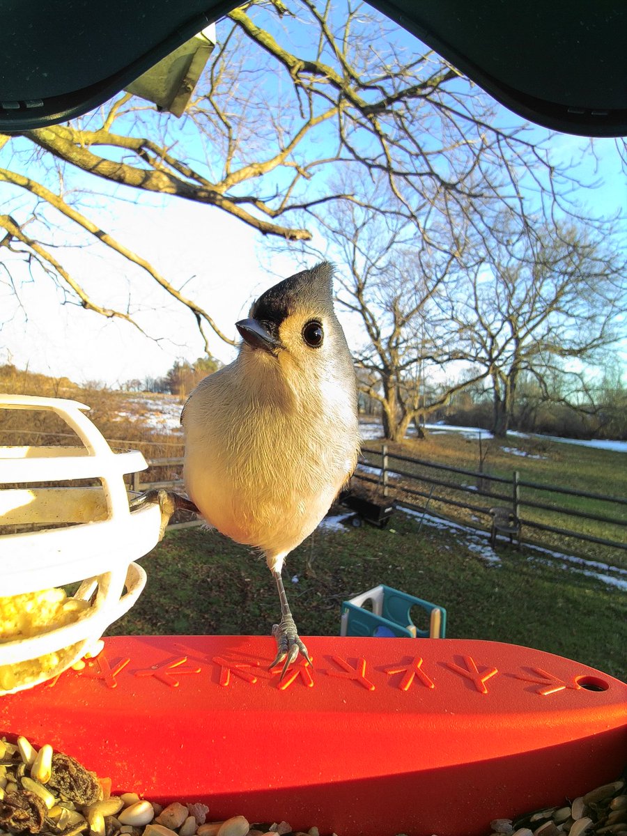 Jason Kluk tweet media