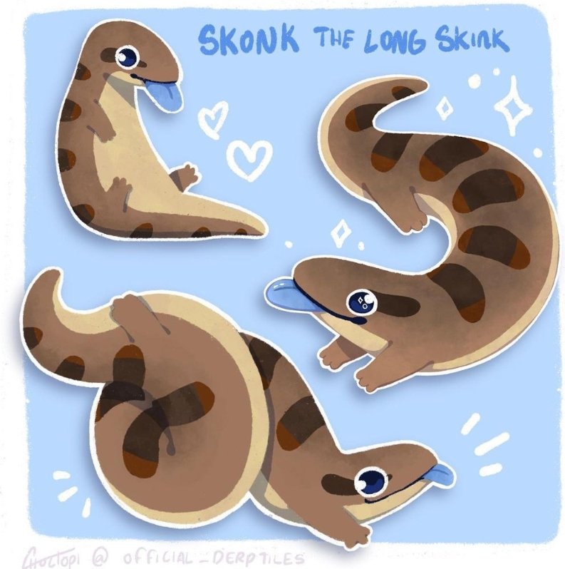 derptiles's tweet photo. Skonk Plushie in the works! He's a magical blue tongue skink~ https://t.co/byO1DsI44P