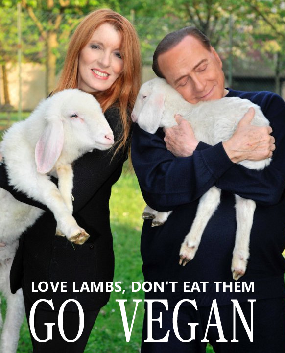 veganfuture's tweet photo. Love lambs, don't eat them #GoVegan https://t.co/bhyC4aENHG