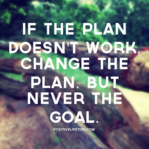 The Mindful Direction (@mindfuldirect) on Twitter photo 