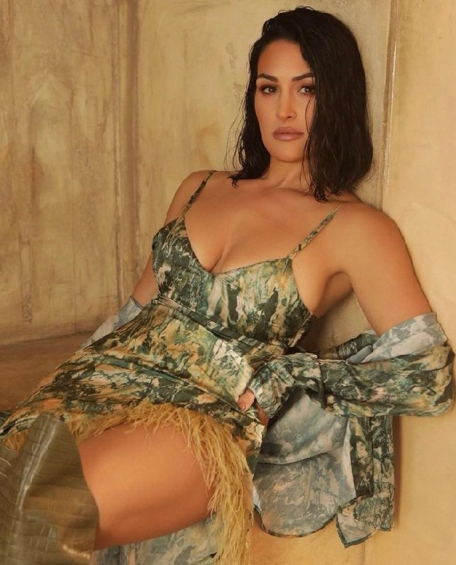 𝙁𝙚𝙖𝙧𝙡𝙚𝙨𝙨 (𝙉𝙞𝙘𝙤𝙡𝙚'𝙨 𝙑𝙚𝙧𝙨𝙞𝙤𝙣) tweet media