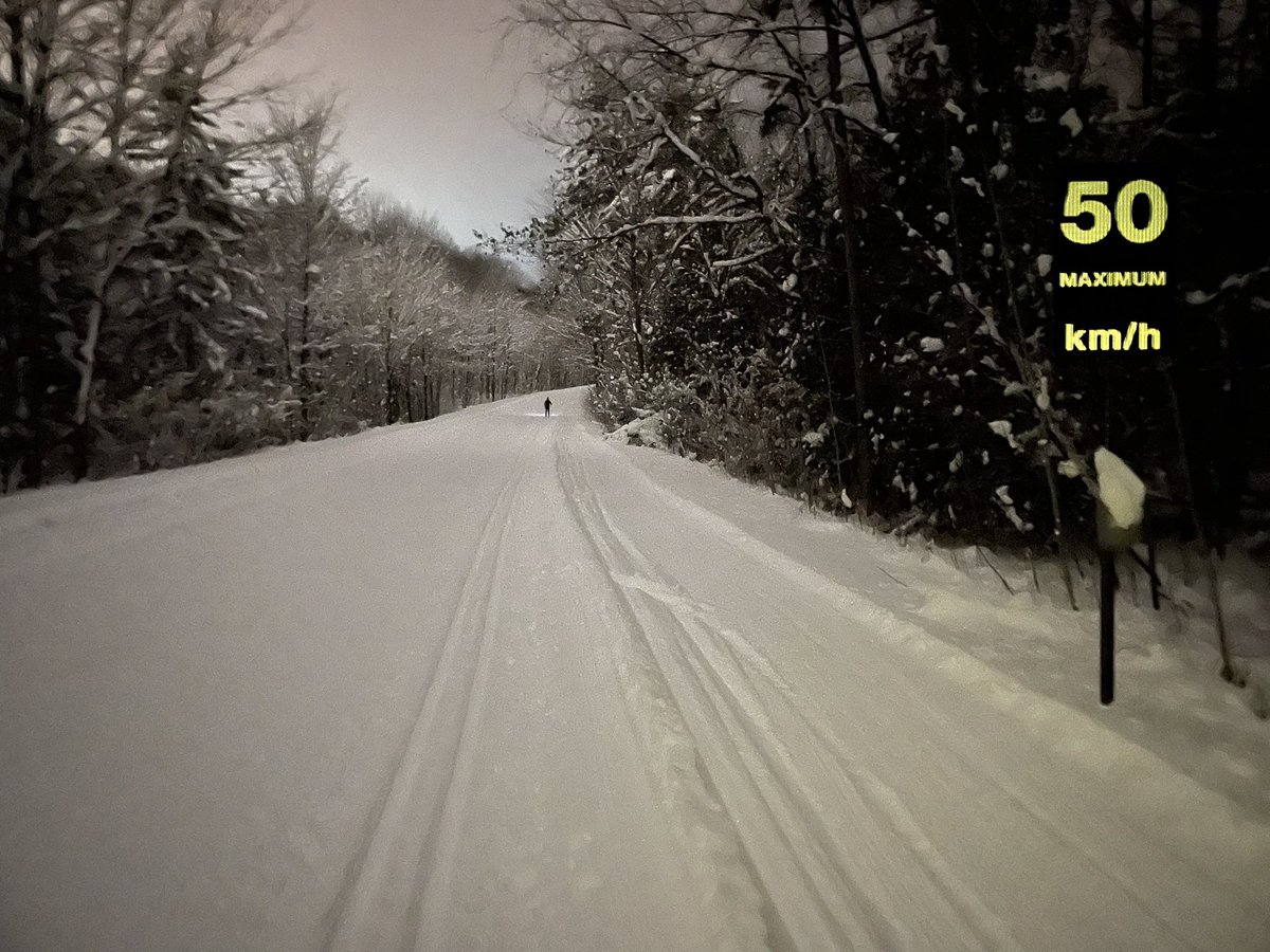 Steven Tobin tweet media