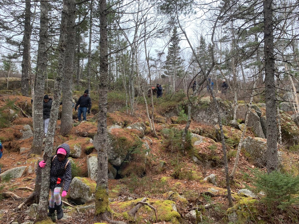 Check out some photos from our wilderness hike at the Blue Mountain - Birch Cove Lakes Wilderness Area with @CPAWSnovascotia @belostomatid. The kids and dog had a blast!