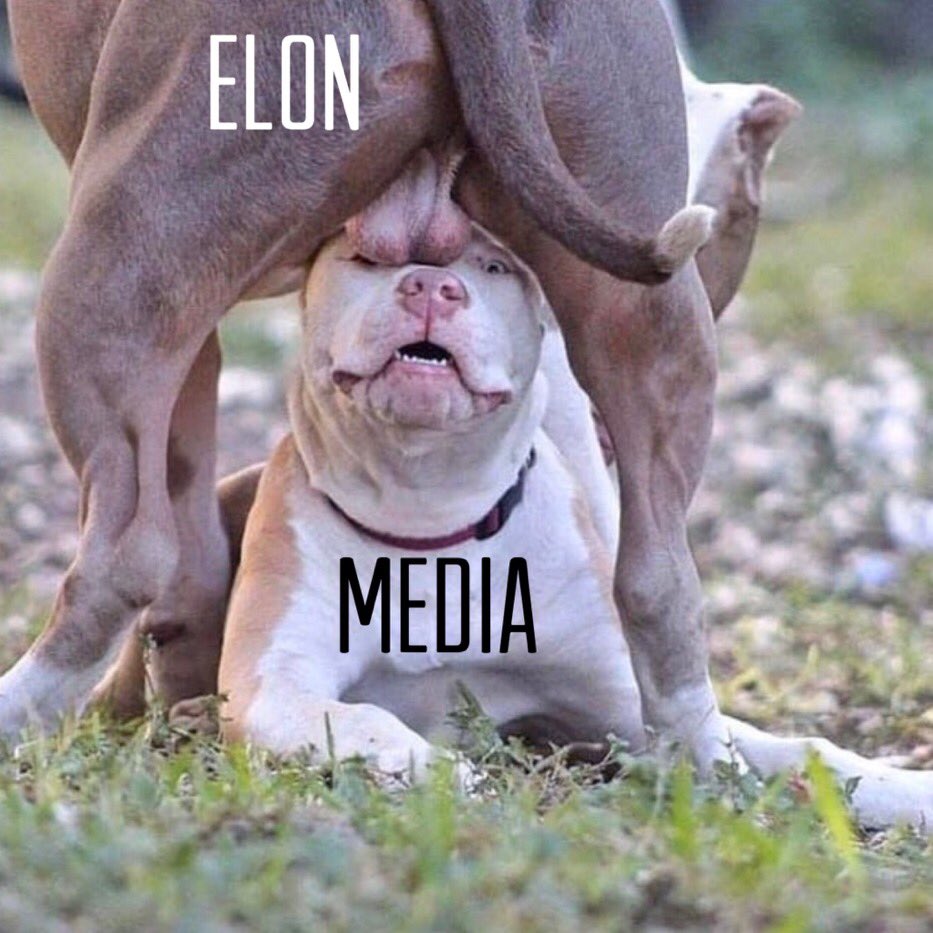 <a href="/elonmusk/">Elon Musk</a>