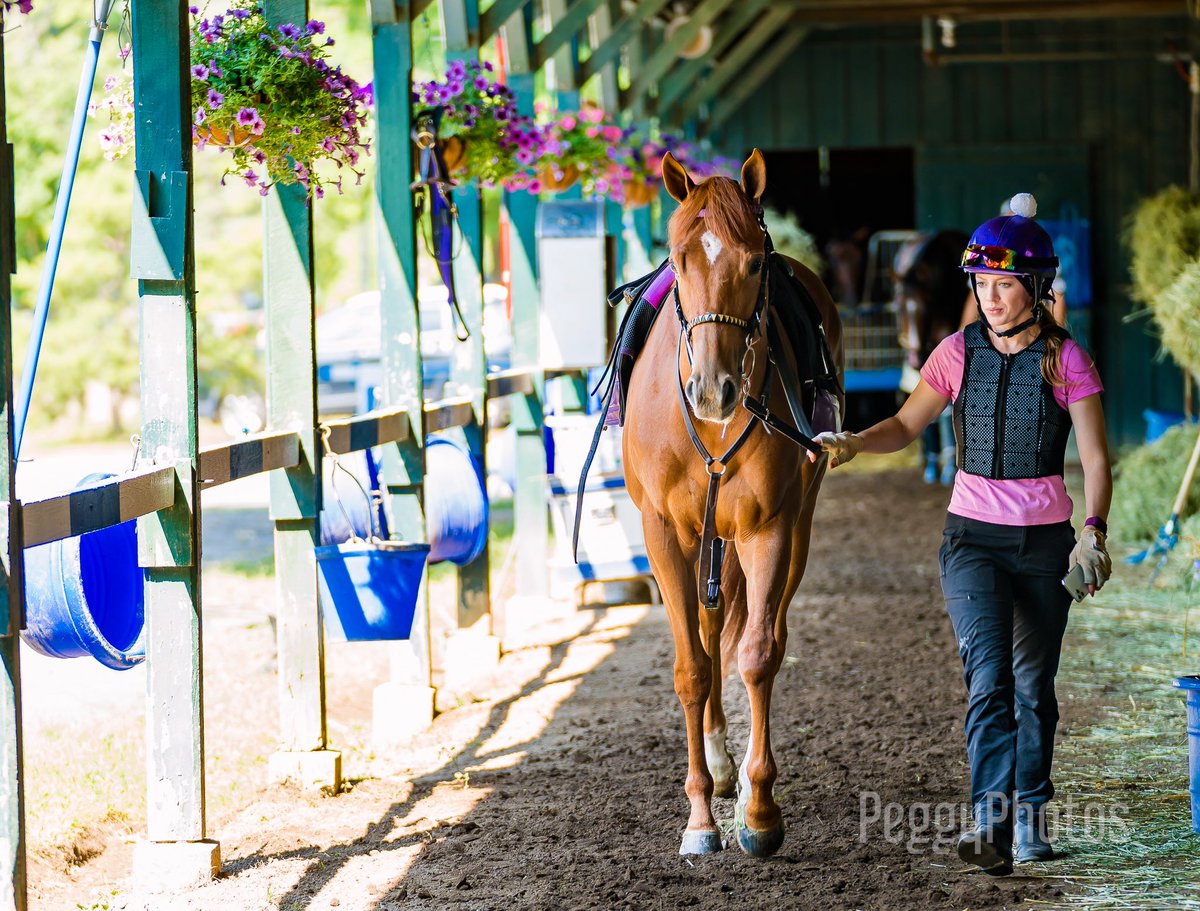 Natalia Lynch tweet media