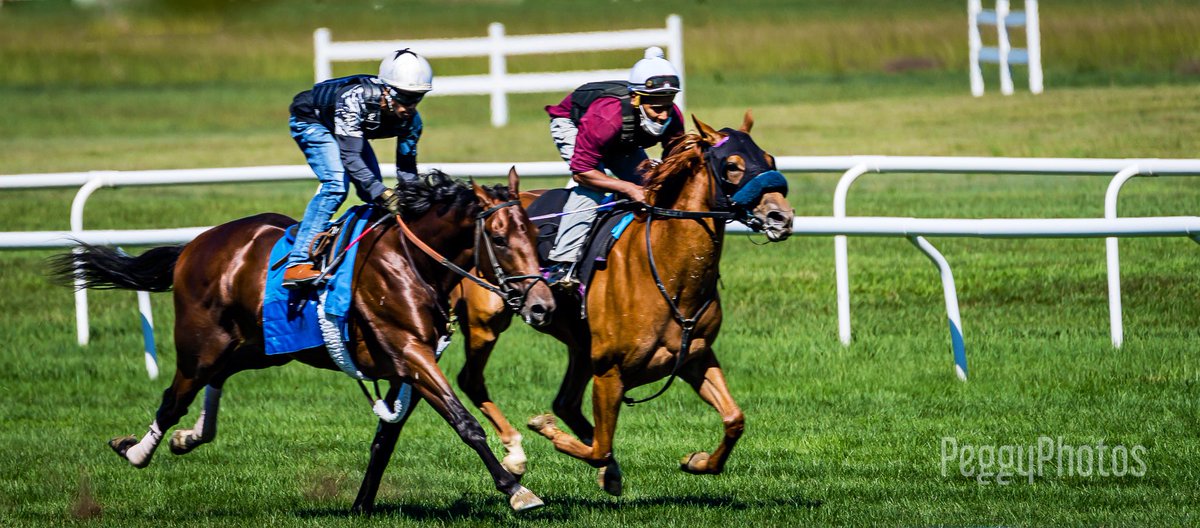 Natalia Lynch tweet media