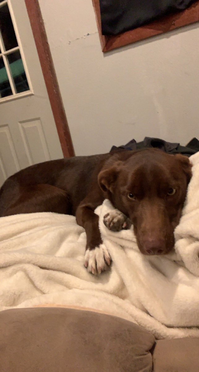 This is Q, that is all