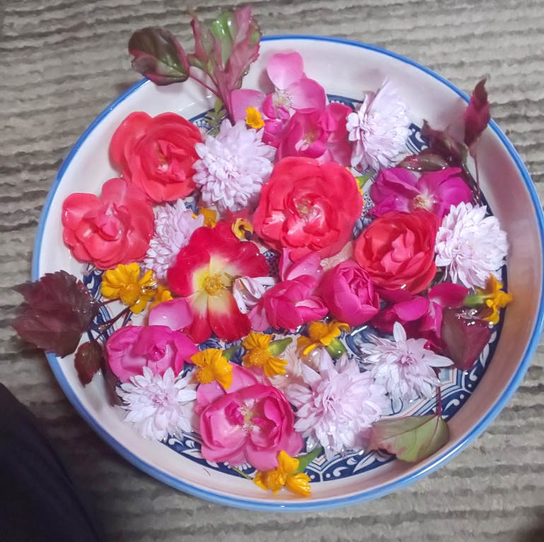 yataritomo's tweet photo. 分強い霜が降りてきたようです。花が傷む前に
摘んで、散りゆく花も惜しんで摘んでしまい、花手水を作ってみました。今の時期は気温も低いですので、どの花も色が鮮やかです。花の種類は、菊2種類、薔薇3種類、マリーゴールド、アプチロン、しもつけの葉などです。 https://t.co/8VScyc4g2P