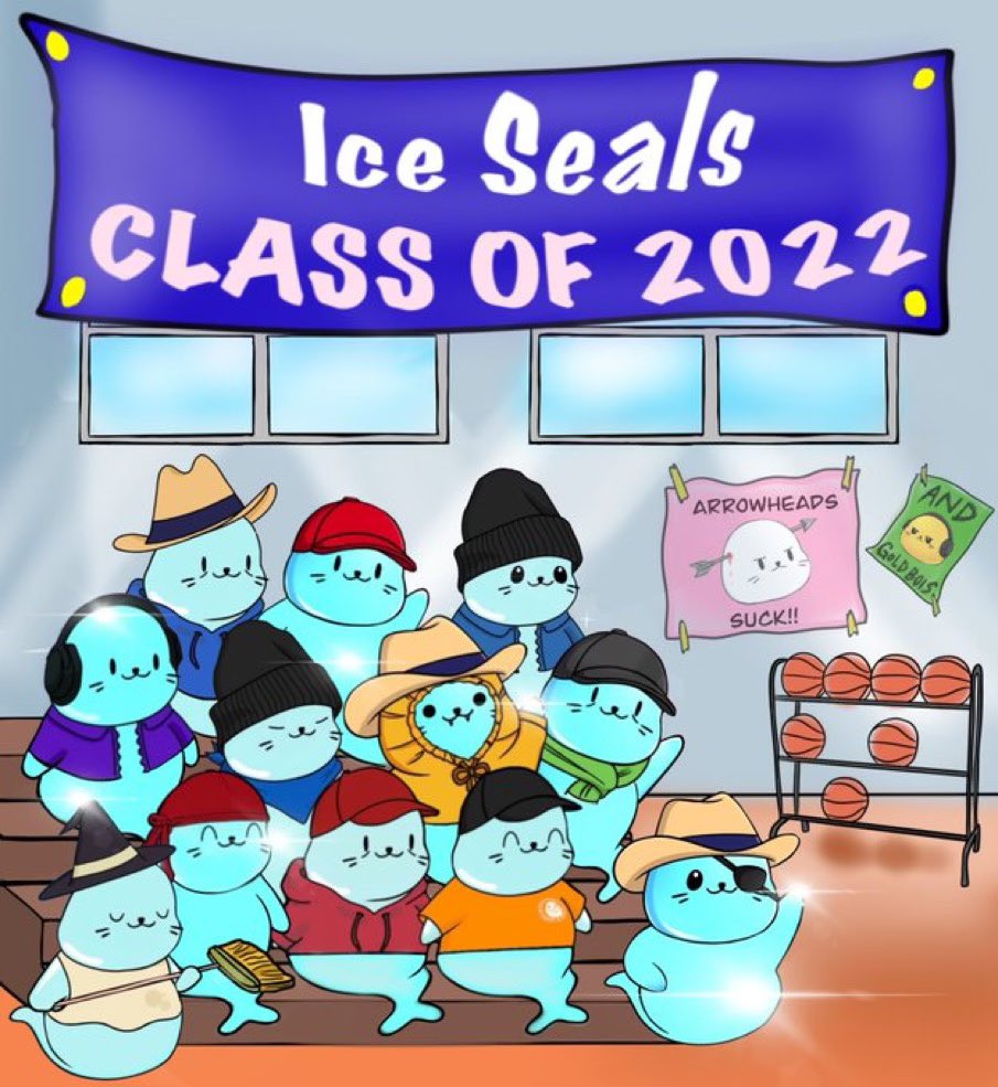 Icy Seals tweet media