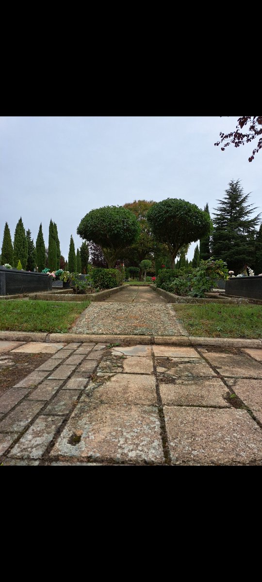 Martagggm's tweet photo. Cementerio de Burgos, precioso pero, necesario un mantenimiento por su antigüedad y para mejorar su accesibilidad. #sharediversitas #diversidaduoc https://t.co/srXkVl671W
