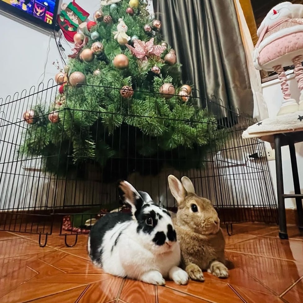 Alejandro Humor Tv (@alejandro_humor) on Twitter photo 