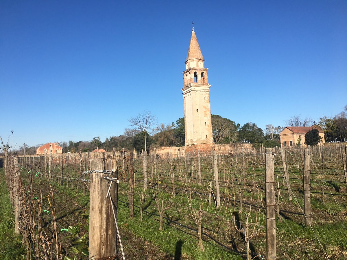 thewinetattoo's tweet photo. Last #Venice #Lagoon trip before heading back to #Paris for #Christmas @winewankers @CHARLIEWINES @pietrosd @winematcher for #wine #food pairing at https://t.co/ujJXDyEhVk creative fish #cichetti with a rare #Marzamino, crisp light #Veneto red wine https://t.co/Syen9fa2xT