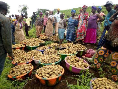 Funding #farmers in developing countries can help ramp up the declining food output rates and breathe an air of hope in the quest for global food security. 

#agriculture #blockchain #food #DeFi #btc #bnb #polygon #near #celo