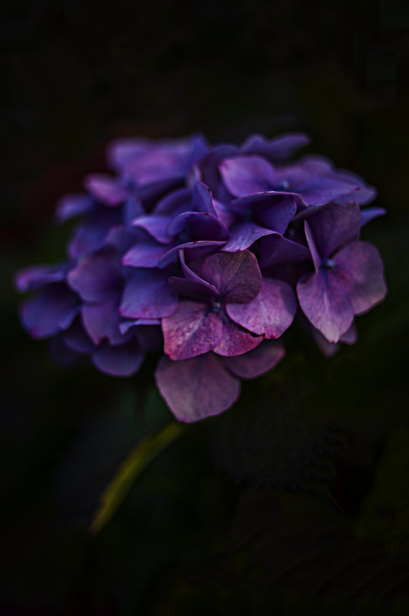 I am ending this year with some beautiful news. My friend <a href="/WindMillsz/">Jeremy Windmillsz</a> collected the last 22 editions to share as gifts! I couldn't have asked for a better way for "Friendship" to go. It's a good emotional moment. Thank you to everyone for collecting 💐