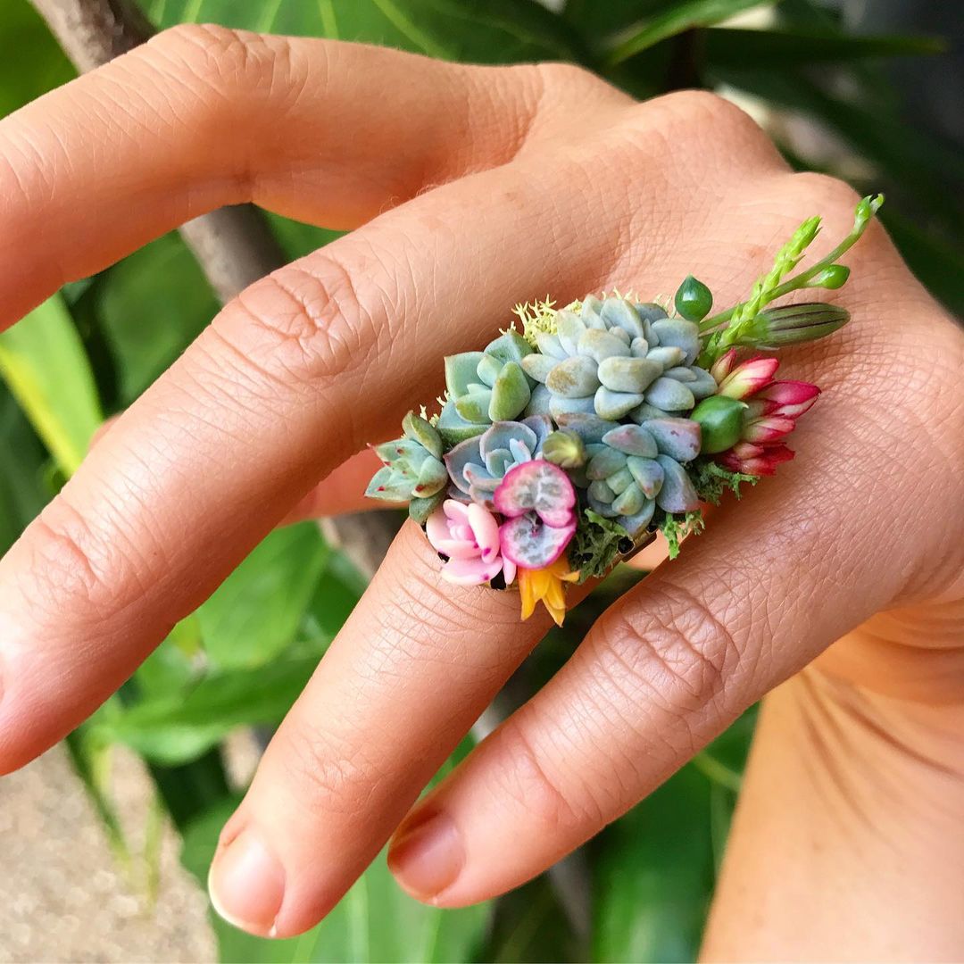 monsterasmom's tweet photo. Who else needs one of these real succulent rings to show the world you’re in a serious committed relationship with plants 💍🌿💐
#succulents #succulentsofinstagram #succulentobsession #plantsmakepeoplehappy #colorfulsucculents https://t.co/IJZQeNqEqL
