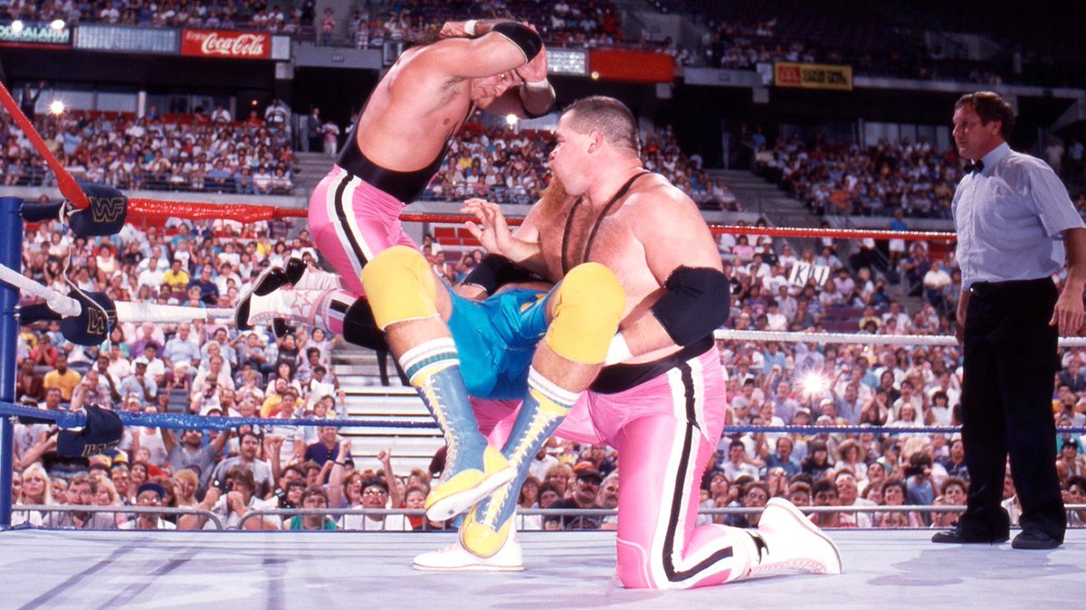 📸 WWF Action Shot! #WWF #WWE #Wrestling #JimNeidhart #BretHart #HartFoundation
