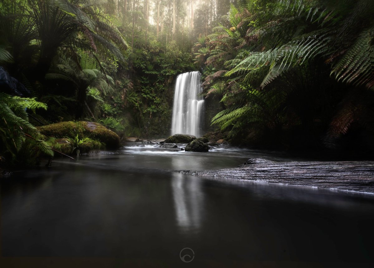 Beauchamps Waterfall in the Otways. One of my favourite places on earth. I love that I can wade downstream to photograph it from a distance 😍 #photooftheday #Australia #Waterfall #photography