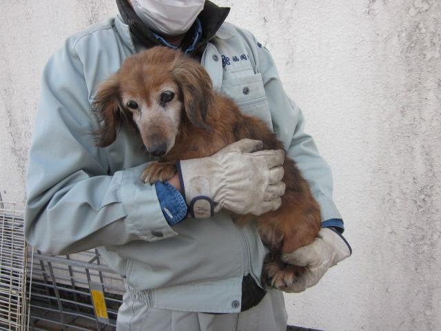 iWaFDUeWUTuqm9L's tweet photo. 迷子のワンちゃんが福岡県大野城市川久保で保護です小型犬なので飼い主は地図内にいます https://t.co/SpzTnPKndl