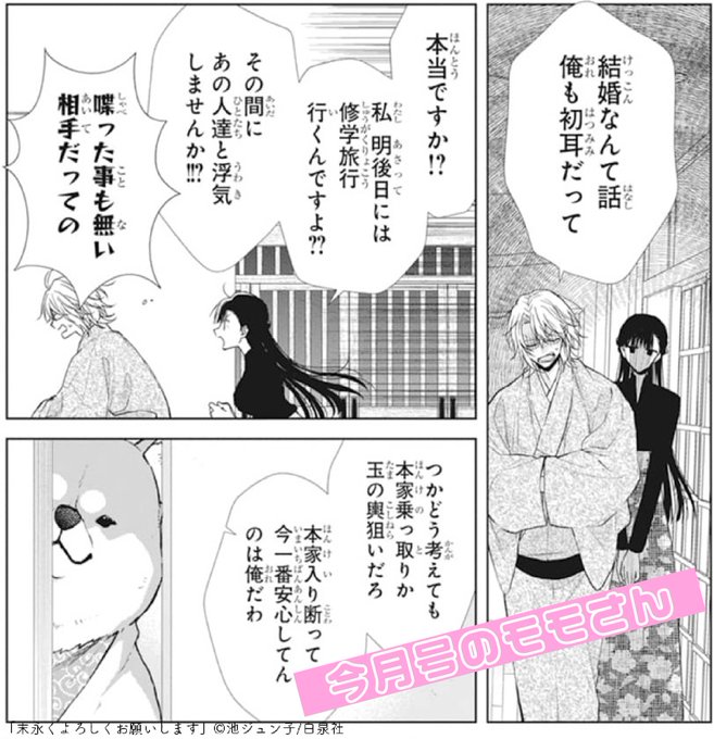 末永くよろしくお願いします13 Amazon.co.jp: 末永くよろしくお願いします 13 (花とゆめ