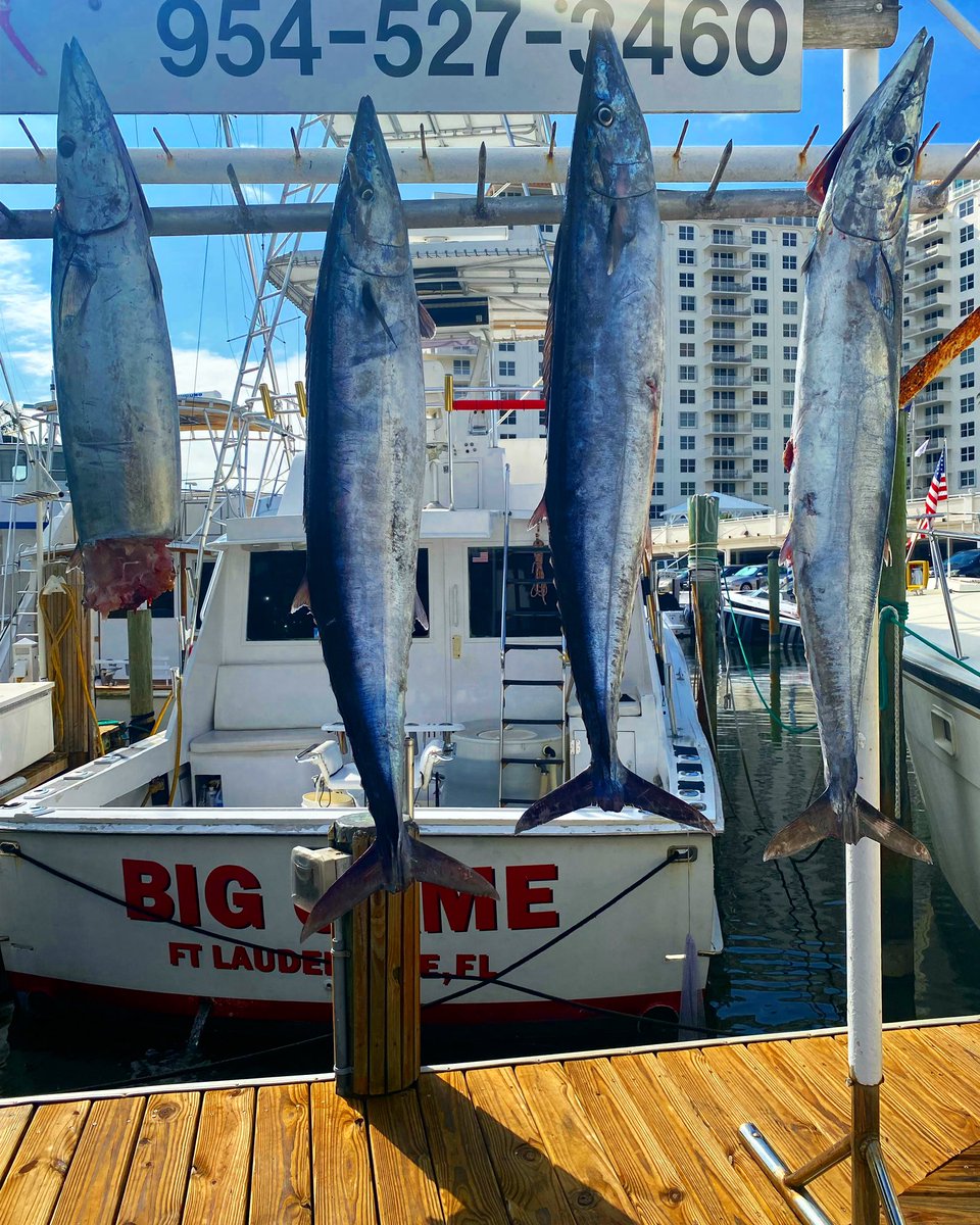 Did I say 2?  Make that 4 wahoo caught on our sport #fishing charter.  Let's go fishing!
FishHeadquarters.com