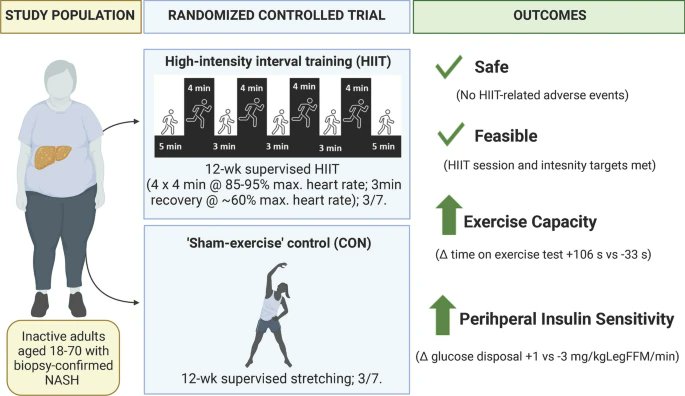 Another tool in the exercise care kit for people living with #NASH!! Despite co-morbidity, musculoskeletal issues & polypharmacy: ✅supervised HIIT was safe and feasible (high heart rates, perceived exertion and number of intervals achieved, sessions attendance high).