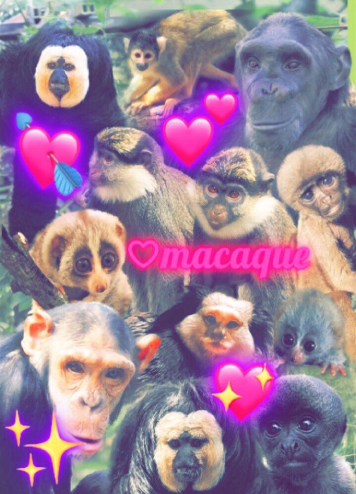 grimace tweet media
