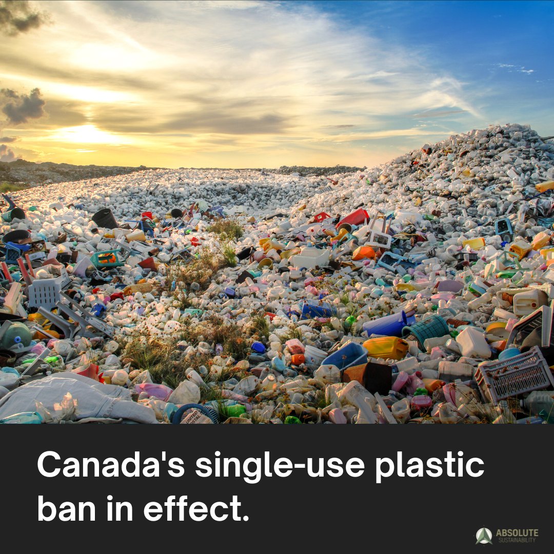 AbsoluteSustain's tweet photo. Phase 1 of Canada’s single-use plastic ban comes into effect today. This means some plastics will no longer be manufactured or imported for sale in the country. 

Banned items include: checkout bags, disposable cutlery, takeout containers, stir sticks, and straws.

#ClimateAction https://t.co/yMFZXgvMwj