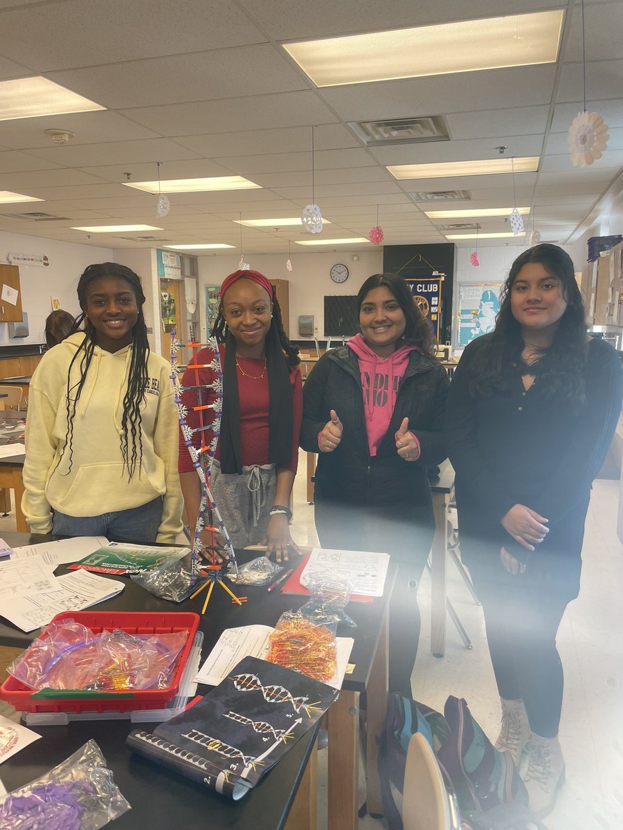 IB Biology students building K’Nex DNA models!