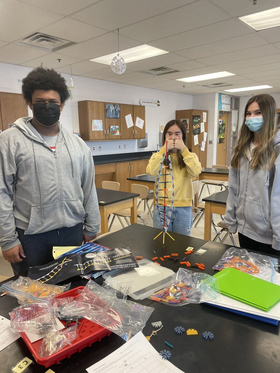 DeptScience's tweet photo. IB Biology students building K’Nex DNA models! https://t.co/avcRvubRKQ