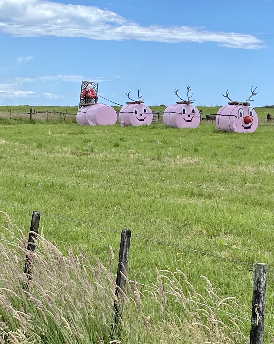 Silage the Red-Nosed Reindeer #WestCoastXmas