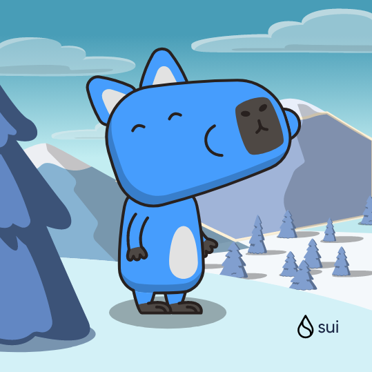 🎁 I just unboxed my Sui Holiday Capy! ❄️ 
Create your own Capy here:  capy.art #CapyHolidays