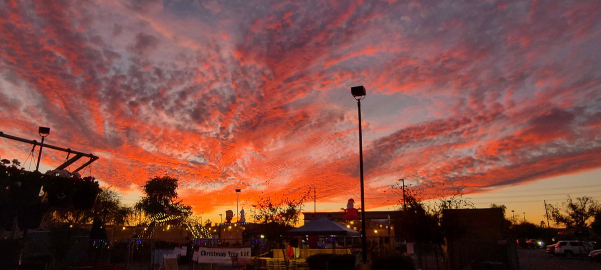 Ciara Rabold tweet media