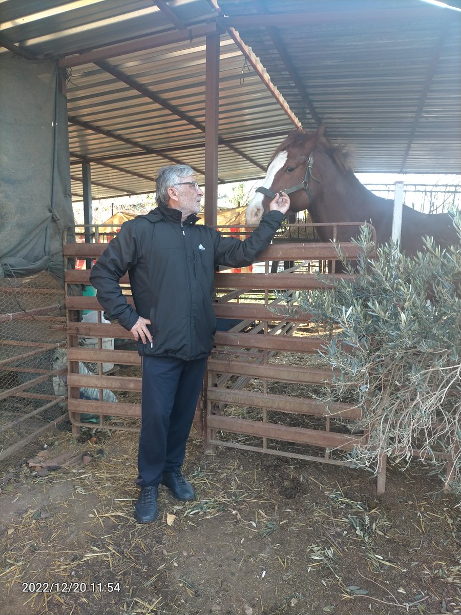 Canlı ne olursa olsun,göz göze gelmek sevgidir.