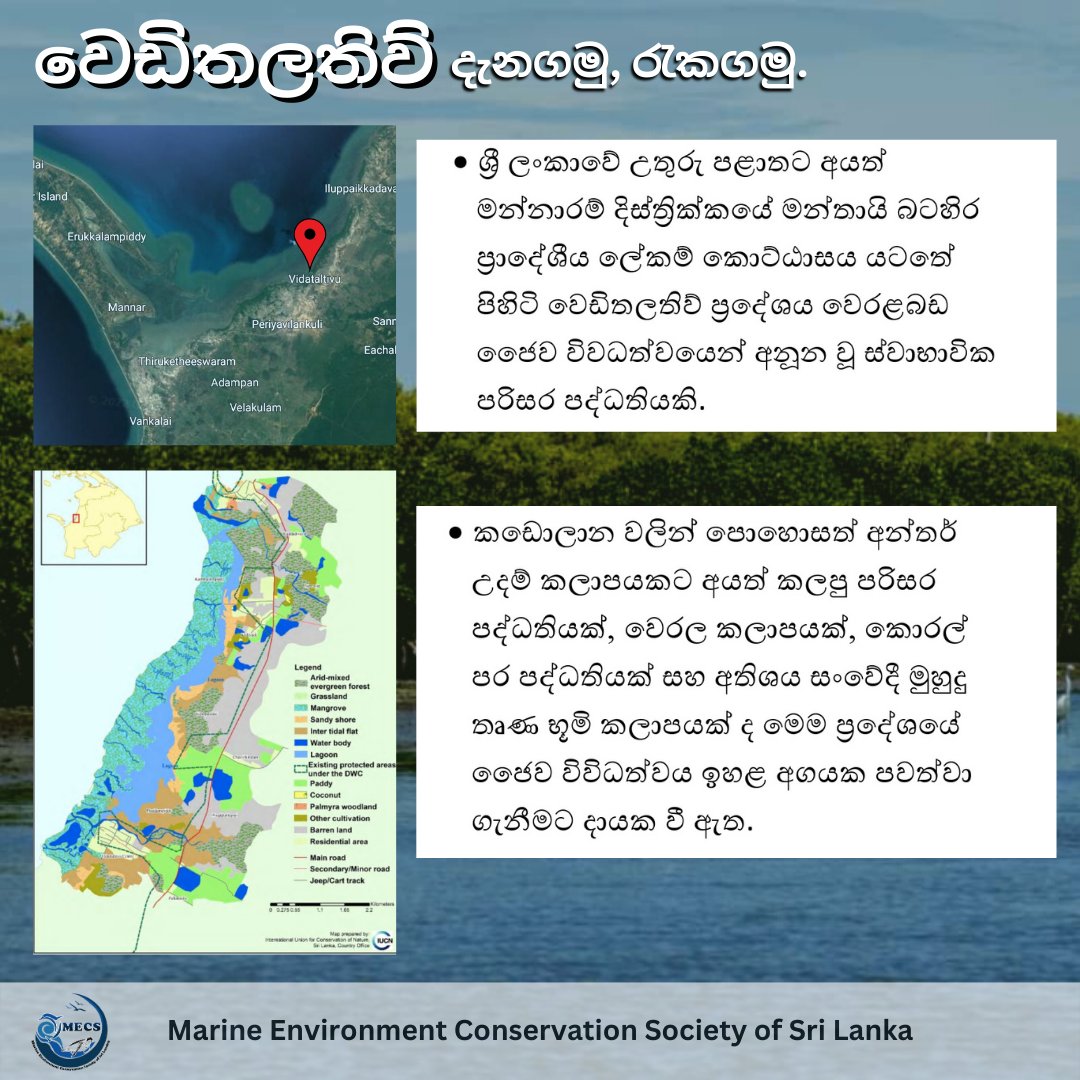 වෙඩිතලතිව් යනු ශ්‍රීලංකාවේ උතුරු පළාතේ මන්නාරම දිස්ත්‍රික්කයට අයත් ස්වභාවික පරිසර පද්ධතියකි. කඩොලාන, කොරල්, මුහුදු තෘණ වැනි ඉතා වටිනා පරිසර පද්ධතීන් ගෙන් අනූන අතිශය සංවේදී වෙඩිතලතිව් පරිසර පද්ධතිය  ආරක්ෂා කිරීම ඔබේත් මගේත් වගකීමක් වේ.
#vidattaltivu #veditallativu  #wedithalathiv