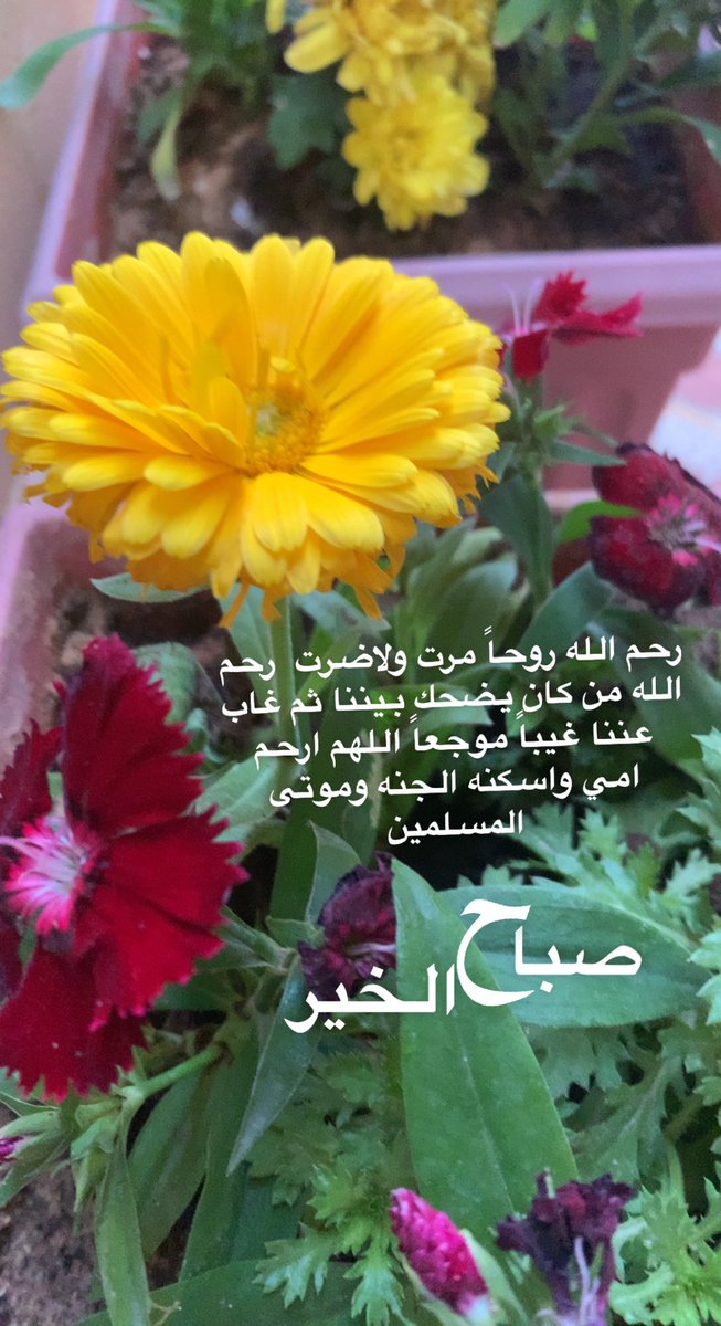 abeer73074127's tweet photo. https://t.co/Ekdb4V2e9F