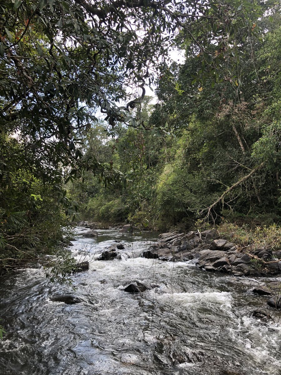 Back from a week in the Central Cardamom Mountains of Cambodia for the first expedition of my PhD. Finding field sites, interviewing forest rangers &amp; local people, eDNA sampling, recording soundscapes, cataloging species and taking in beautiful riparian ecosystems