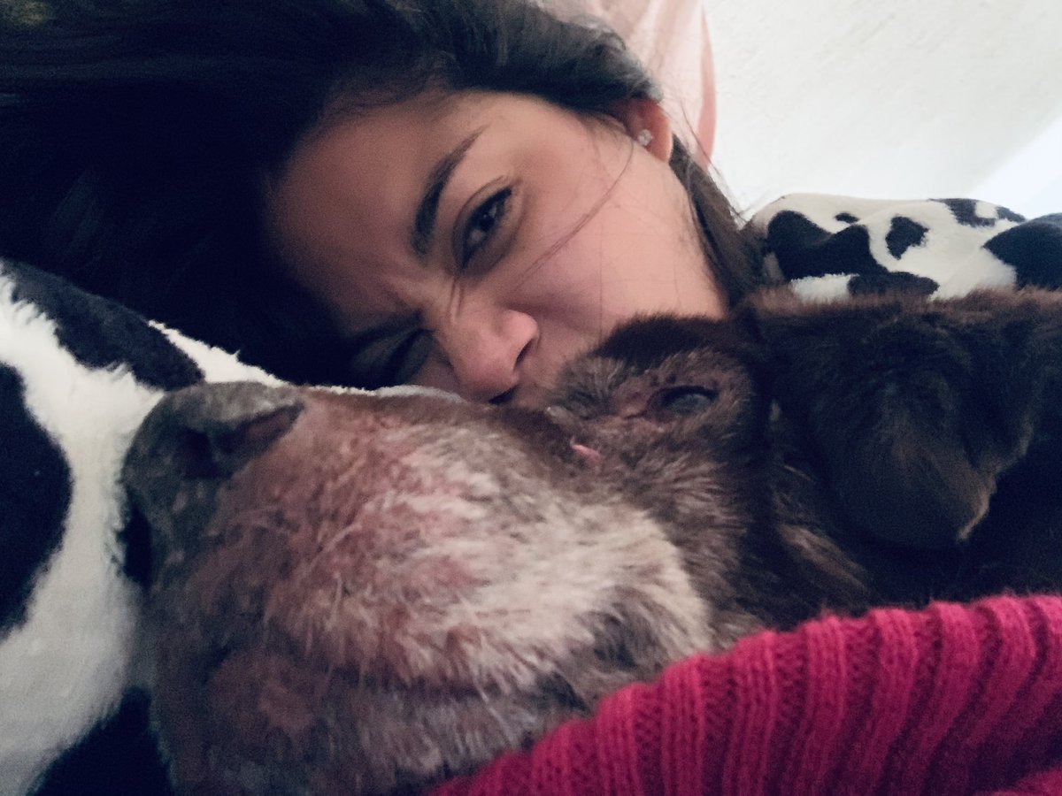 rmafeerg's tweet image. La vida es mejor con perritos 💗