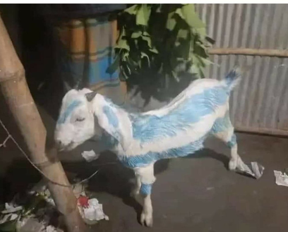 The Orthopaedist tweet media