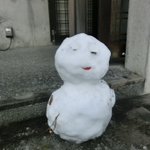 【PALELINO】那須発ロディニアシルクで栃木を元気に!のツイート画像