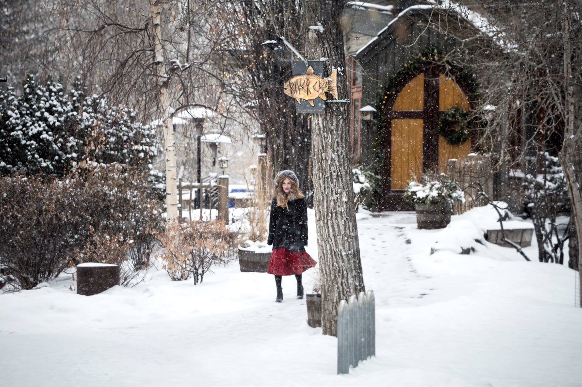 Toque & Canoe tweet media