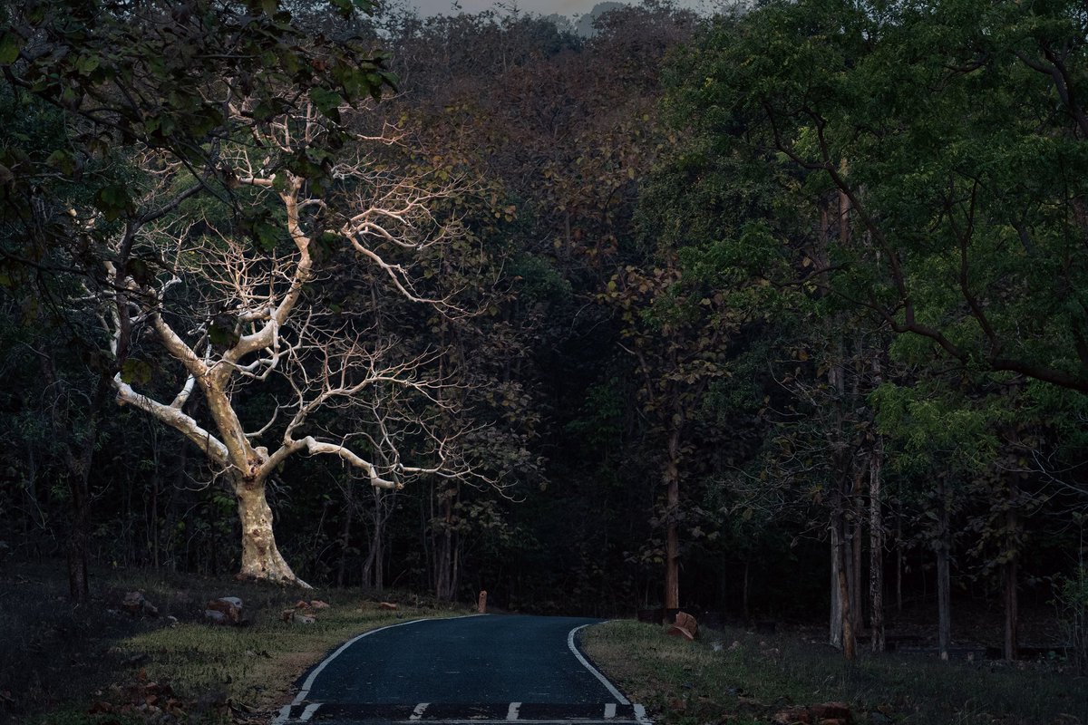 Kiran Ghadge tweet media