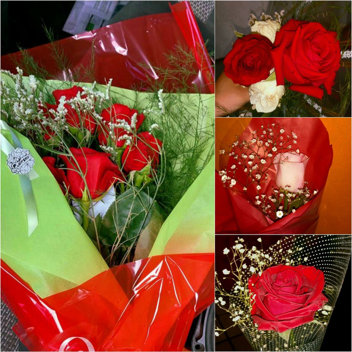 _boludeableh's tweet photo. Mi novio me regaló la primavera más linda de todas🥺💘 https://t.co/94aJuiLZ8H