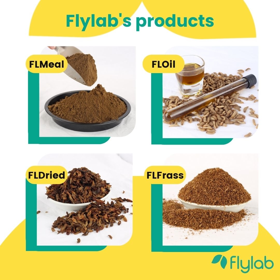 Discover sustainable nutrition for animals and plants with Flylab! Our four amazing products – FLOil, FLMeal, FLDried, and FLFrass – are made with Black Soldier Fly's high-quality protein content and essential amino acids. #Flylab #FLMeal #FLOil #FLDried #FLFrass #BSF