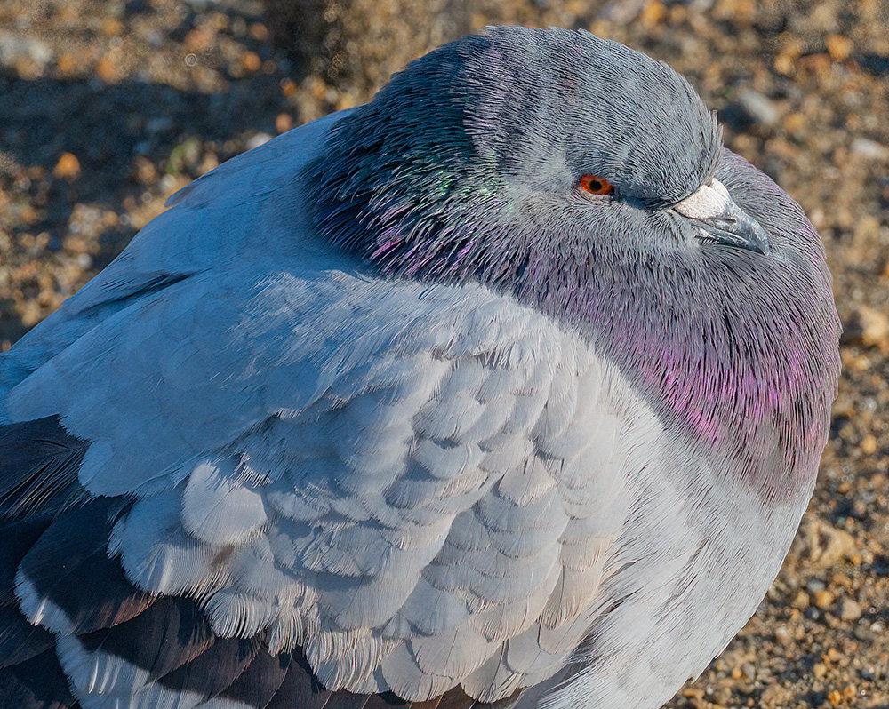 Stephen Johnson tweet media