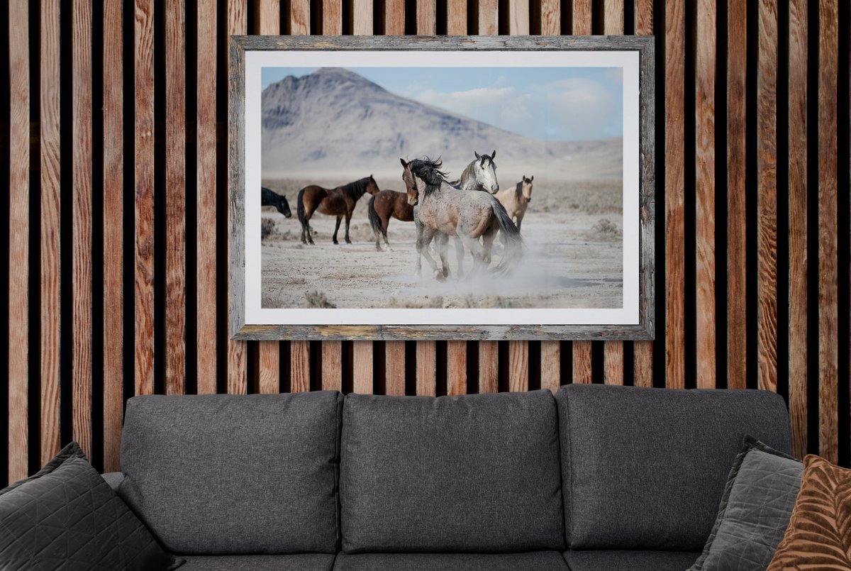 Wild Horse Wednesday! Stallion dust up on the west desert.

Find It: fon-denton.pixels.com/featured/bache…

#WildHorses #WildHorsePhotographs #Horse #Horses #Stallions #ArtMatters #AYearForArt #WildHorseArt #Animals #Onaqui #Mustangs #Equine #Photography #PhotographyIsArt #KeepThemWild